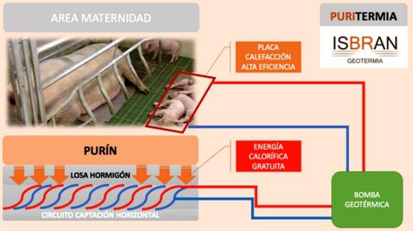 Geotermia, calefacción de bajo coste en granja porcina - Image 3