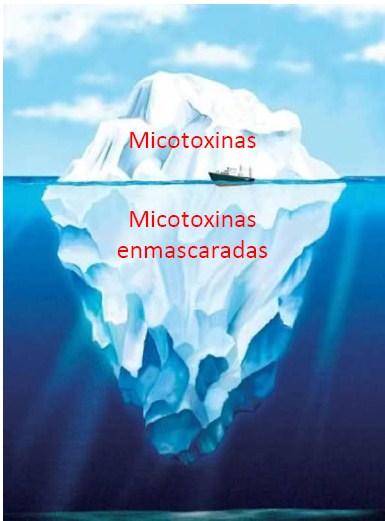 Micotoxinas enmascaradas - Image 2