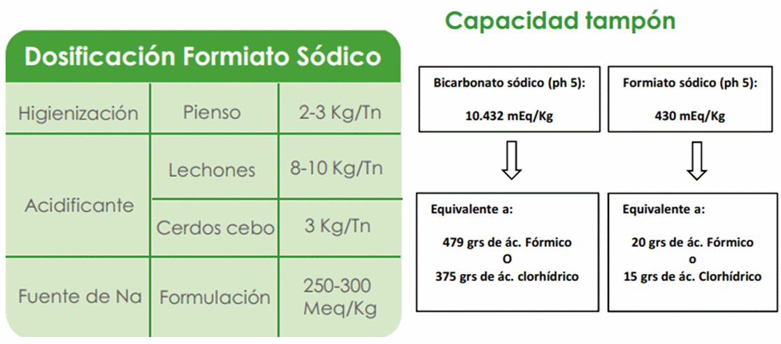 Aditivos para alimentos balanceados para cerdos: Formiato sódico (sal sódica del ácido fórmico) - Image 2