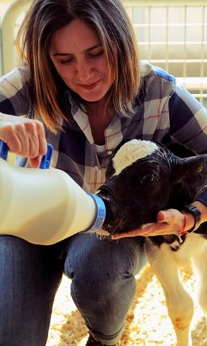 Alimentar con leche de descarte, ¿Cuáles son los riesgos? - Image 1