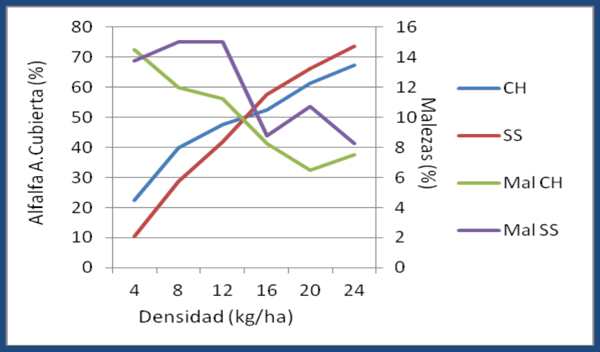 Evaluación de Implantación de 2 cultivares de Alfalfa (Medicago sativa L.) en siembra directa con distintas densidades sobre un rastrojo de maíz (Zea mays). - Image 3