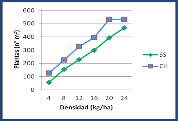 Número de plantas/m2 a los 40 DPS (10/07).