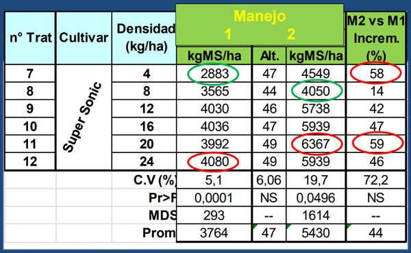 Evaluación de Implantación de 2 cultivares de Alfalfa (Medicago sativa L.) en siembra directa con distintas densidades sobre un rastrojo de maíz (Zea mays). - Image 8