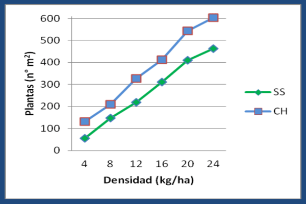 Número de plantas/m2 a los 90 DPS (30/08).