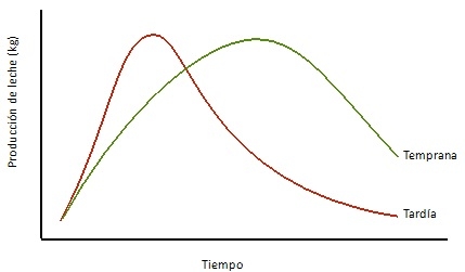 Importancia de la fecha de parto sobre la actividad productiva y reproductiva en un rodeo de cría - Image 7