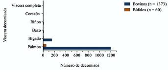 Caracterización de decomisos de vísceras rojas en un frigorífico de exportación en Santander - Colombia - Image 2