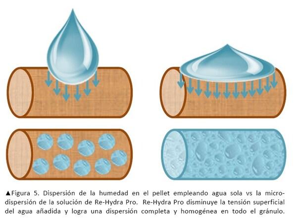Agua libre vs. RHP - Image 5
