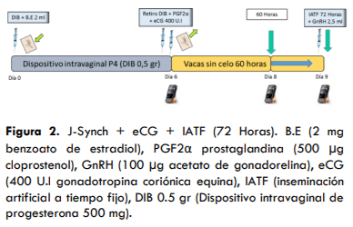 UTILIZACIÓN DE UN PROTOCOLO CON PROESTRO PROLONGADO CON Y SIN ECG EN VACAS LECHERAS HOLSTEIN EN LA AMAZONÍA ECUATORIANA - Image 2