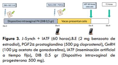 UTILIZACIÓN DE UN PROTOCOLO CON PROESTRO PROLONGADO CON Y SIN ECG EN VACAS LECHERAS HOLSTEIN EN LA AMAZONÍA ECUATORIANA - Image 3