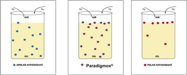 Propiedades, estudios y dosis recomendada del PARAdigmOX® White Dry: Diferenciación química y de eficiencia respecto al BHT - Image 2