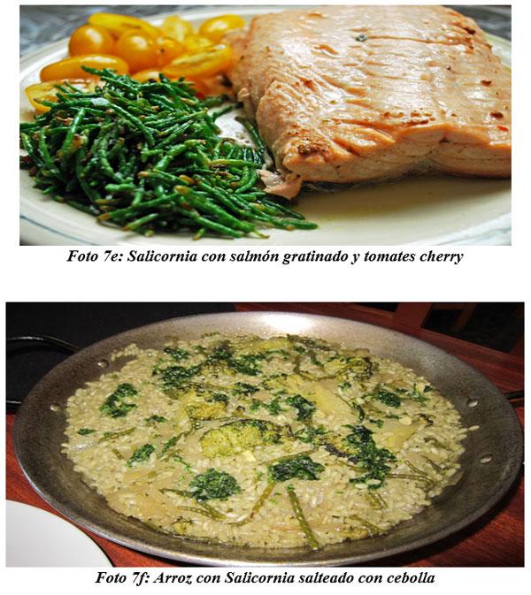 También sirven para hacer cocina gourmet : DIFERENTES TIPOS DE COMIDAS GOURMET CON FORRAJES NATURALES1 - Image 15