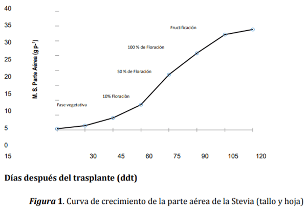 ACUMULACIÓN DE NUTRIENTES EN Stevia Rebaudiana (Bertoni) - Image 1