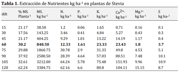 ACUMULACIÓN DE NUTRIENTES EN Stevia Rebaudiana (Bertoni) - Image 2