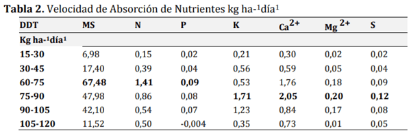 ACUMULACIÓN DE NUTRIENTES EN Stevia Rebaudiana (Bertoni) - Image 4