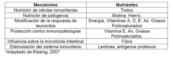 Nutrición Vitamínica y su Relación con la Inmunidad en el Contexto Actual de la industria Avícola - Image 1