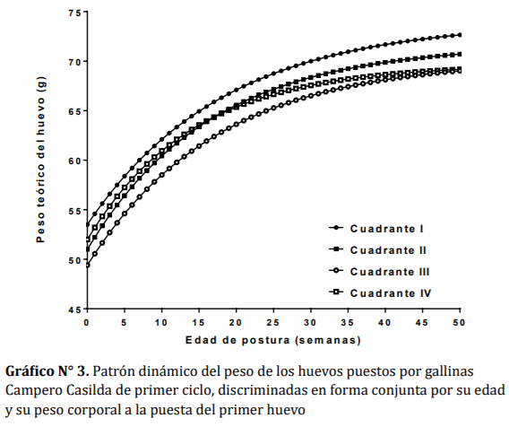 Comportamiento dinámico del peso del huevo en gallinas camperas discriminadas por indicadores productivos a la madurez sexual - Image 6
