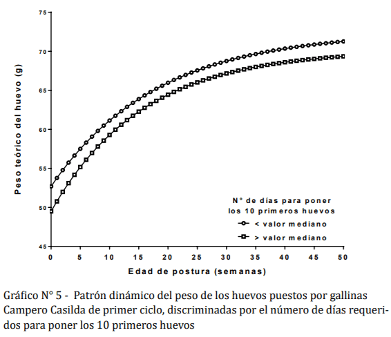 Comportamiento dinámico del peso del huevo en gallinas camperas discriminadas por indicadores productivos a la madurez sexual - Image 9