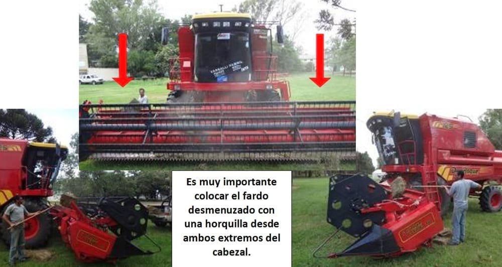 El avance de las malezas resistentes a herbicidas en los sistemas agrícolas. ¿Podremos controlarlas? - Image 10