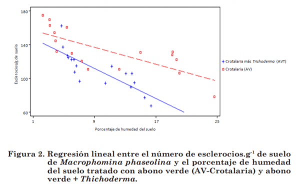 Efecto del abono verde y Trichoderma harzianum sobre la población de esclerocios y la incidencia Macrophomina phaseolina en ajonjolí - Image 3