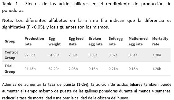 Cómo mejorar la tasa de puesta de gallinas ponedoras en otoño - Image 4