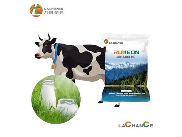 Eficiencia proteica y rendimiento de la leche en vacas lecheras - Image 1