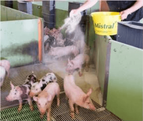 Beneficios asociados al uso de “polvos secantes” en granjas porcinas - Image 4