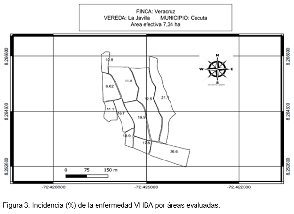 Perdidas en rendimiento causadas por el virus de la hoja blanca (VHBA) en el cultivo del arroz en el Departamento Norte de Santander, Colombia - Image 4