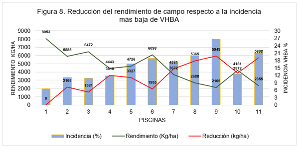 Perdidas en rendimiento causadas por el virus de la hoja blanca (VHBA) en el cultivo del arroz en el Departamento Norte de Santander, Colombia - Image 9