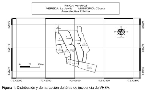 Perdidas en rendimiento causadas por el virus de la hoja blanca (VHBA) en el cultivo del arroz en el Departamento Norte de Santander, Colombia - Image 1