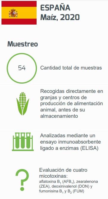 Investigación sobre la cosecha 2020 en Maíz en España - Image 1