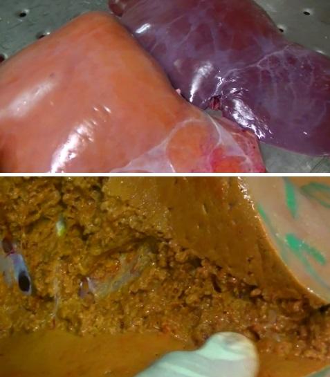 Causas, daños y contramedidas del hígado graso perinatal en vacas lecheras - Image 1