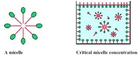 Diferencias entre Biosurfractantes y otros emulsificantes - Image 3