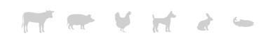 Micotoxinas en avicultura II - Image 1