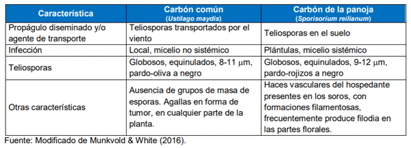 Tabla 2. Diferencias entre el carbón común y el carbón de la panoja de maíz.