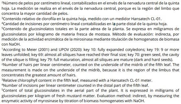 Obtención de la primera variedad argentina de mostaza india: SANTA CATALINA UNLP, para su utilización como biofumigante - Image 3