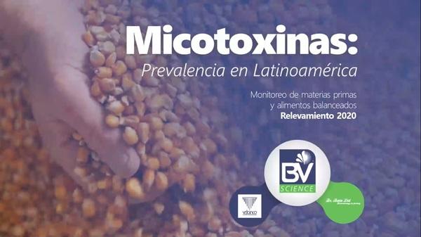Lanzamiento de la 3° edición del Detoxa Book Micotoxinas: Prevalencia de las micotoxinas en Latinoamérica 2020 - Image 1