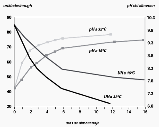 Efectos del estrés térmico sobre la calidad de la carne en los pollos de engorde - Image 3