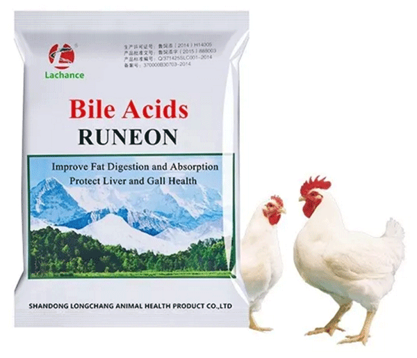 bile acids runeon