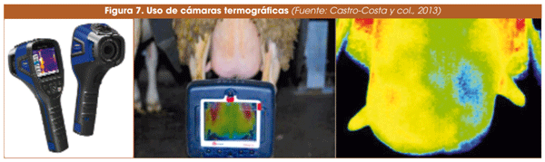 Figura 7. Uso de cámaras termográficas (Fuente: Castro-Costa y col., 2013)