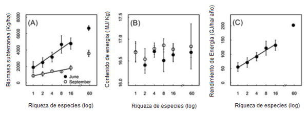 Biomasa en función de la riqueza de especies de las pasturas. Efectos de la biodiversidad en el funcionamiento del ecosistema en un experimento de pastizales de 15 años. Wolfgang et al.