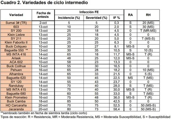 Comportamiento de variedades de trigo evaluadas a Fusariosis de la espiga con infección artificial y registros de royas - Image 2