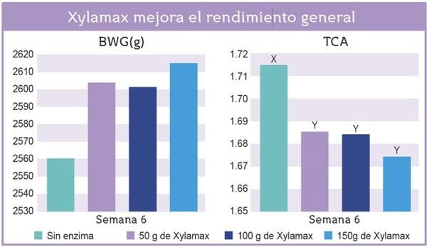 Los efectos de la suplementación con xilanasa (Xylamax) sobre el rendimiento de pollos de engorde comerciales alimentados con dietas bajas en energía - Image 2