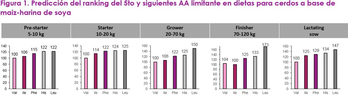Optimizando la proteína de la dieta con valina como el siguiente aminoácido limitante - Image 1