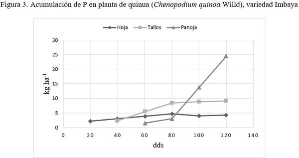 Indice de cosecha con macro-nutrientes en grano de quinua (Chenopodium quinoa Willd) - Image 12