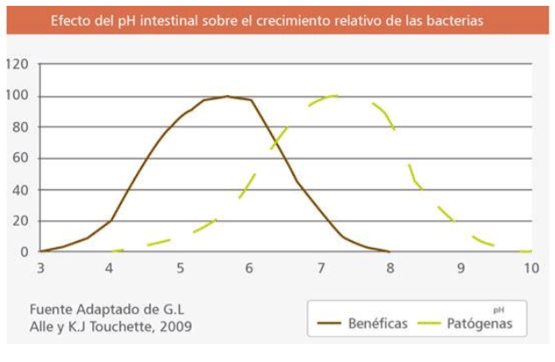 efecto del ph intestinal sobre el crecimiento relativo de las bacterias