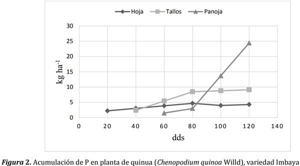 Índice de cosecha con macro-nutrientes en grano de quinua (Chenopodium quinoa Willd) - Image 8