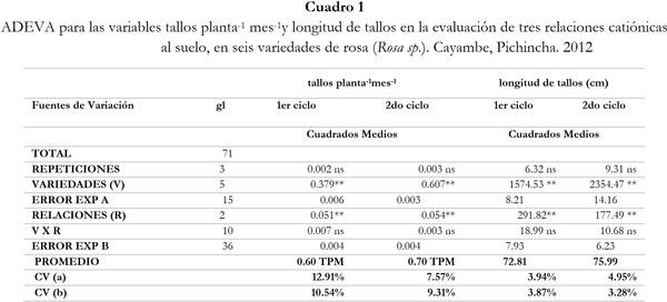 Respuesta de seis cultivares de rosa (Rosa sp.) a tres relaciones catiónicas del suelo. Cayambe, Pichincha - Image 1
