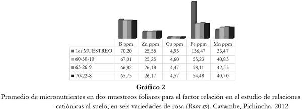 Respuesta de seis cultivares de rosa (Rosa sp.) a tres relaciones catiónicas del suelo. Cayambe, Pichincha - Image 5