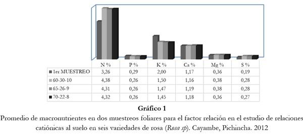 Respuesta de seis cultivares de rosa (Rosa sp.) a tres relaciones catiónicas del suelo. Cayambe, Pichincha - Image 4