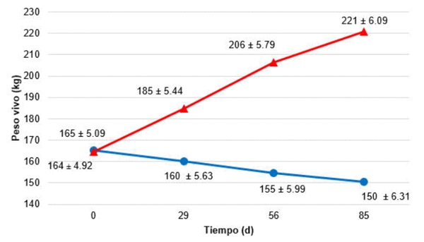 Figura 1. Interacción Tratamiento x Tiempo (p<0,0001) para el peso vivo de novillas CONTROL (·) y suplementadas con BIR (▲)